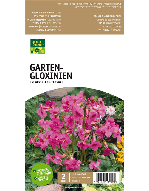 Garten-Gloxinien