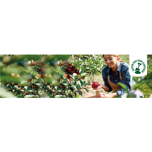 OBSTGARTEN!