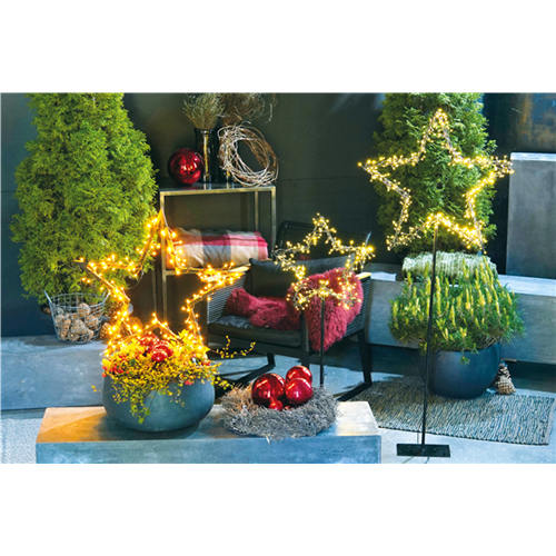 LICHTBLICKE IM WINTER-GARTEN!