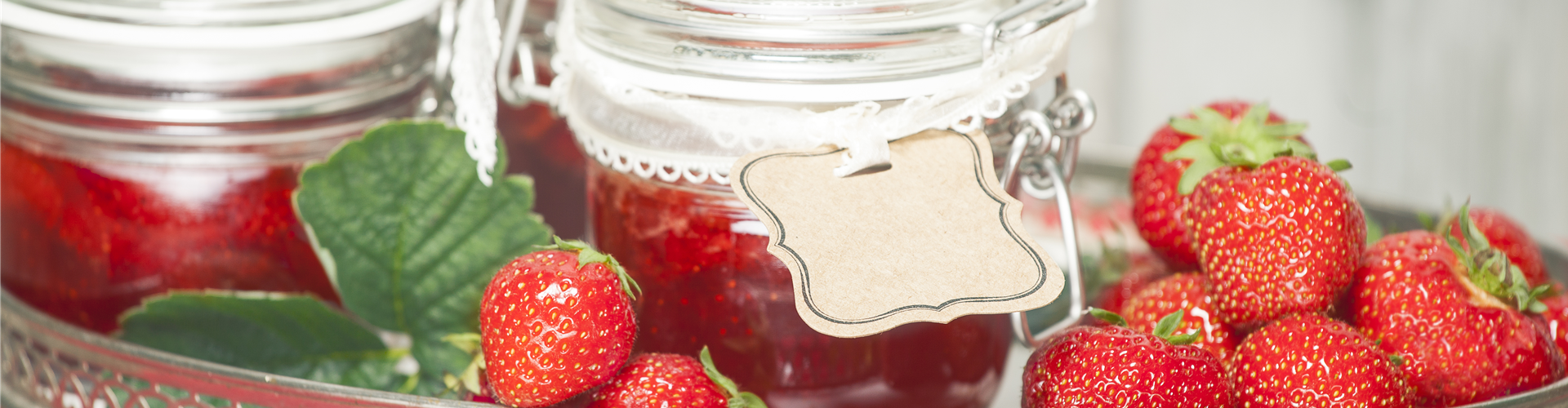 Fragaria x ananassa
