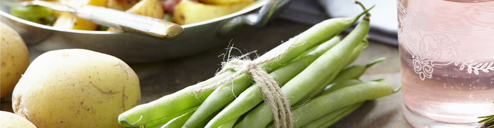 Phaseolus vulgaris