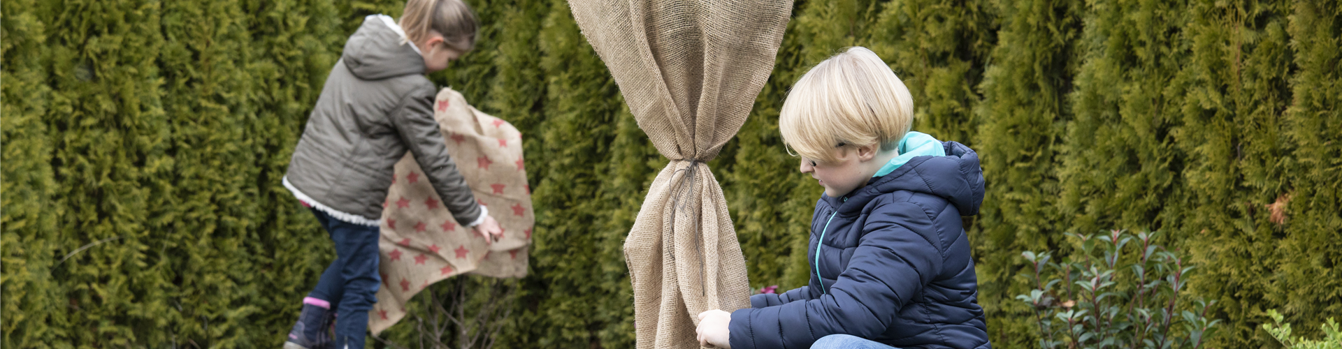 Pflanzen in Jute einpacken