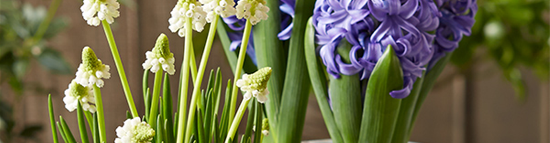 HALLO FRüHLING!