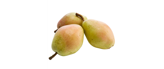 OBSTGARTEN!
