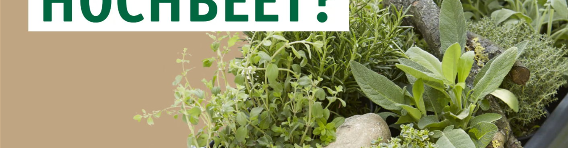Wie geht...Hochbeet