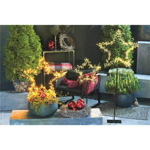 LICHTBLICKE IM WINTER-GARTEN!