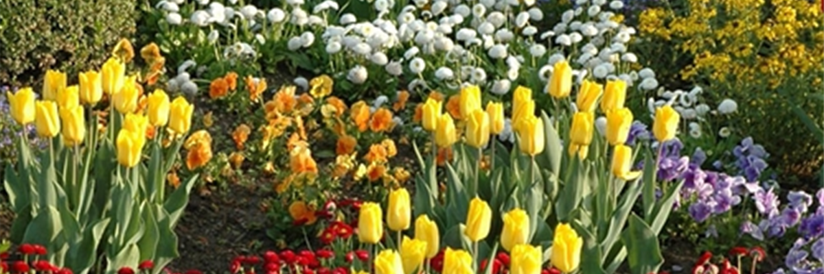 EINE TüTE VOLL FRüHLING!