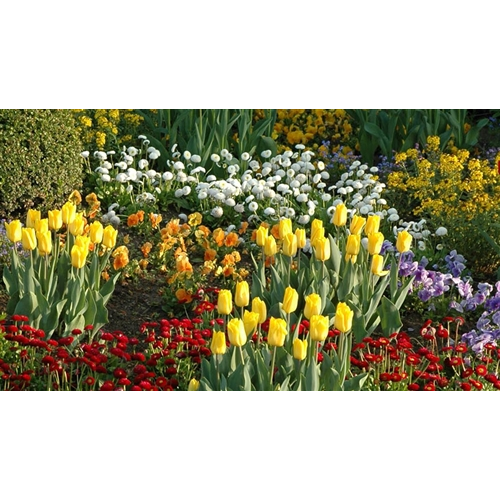 EINE TüTE VOLL FRüHLING!