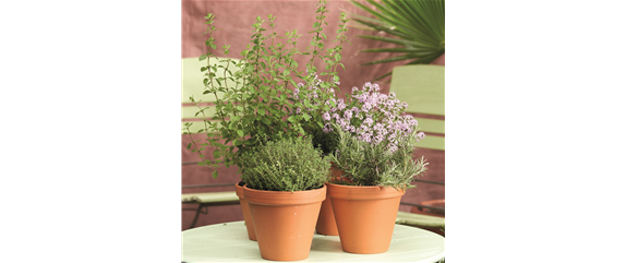 MEDITERRANER FLAIR! 