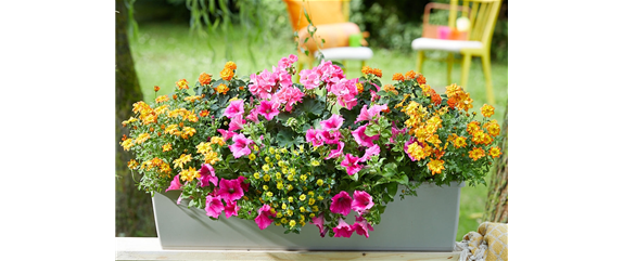 IM TREND: BALKON!