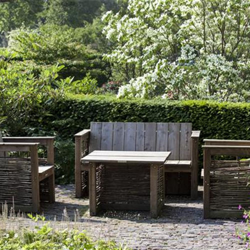 GARTENARBEITEN VOR DEM WINTER