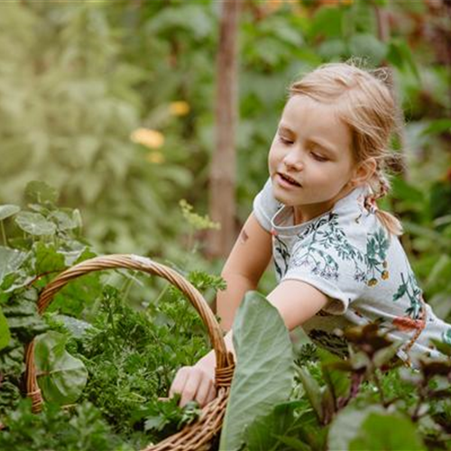 KINDER SPIELERISCH IN DIE ERNTE EINBEZIEHEN