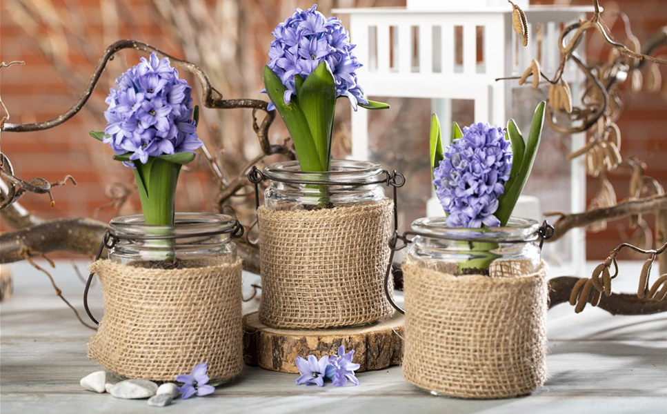 schöne - Dekoartikel